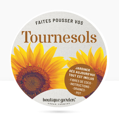 Kit prêt à pousser tournesol, pot en zinc Jaune