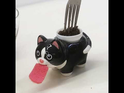 Kit Chat, l'herbe à chat 100% facile